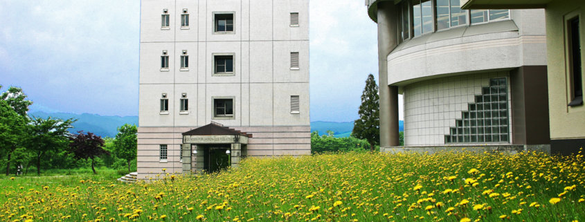 library-flower